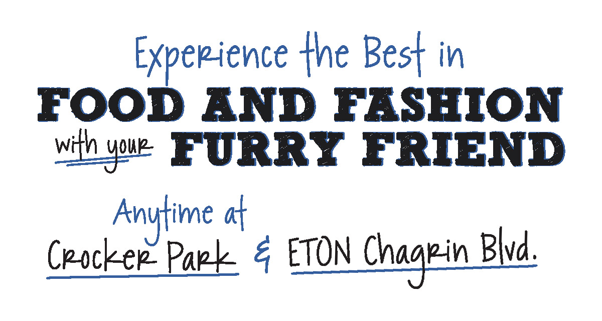 Food & Fashion with your Furry Friend